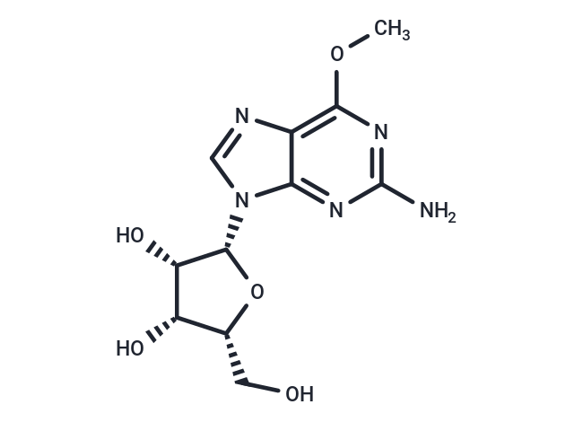 6-O-甲基鳥(niǎo)苷,6-O-Methyl Guanosine