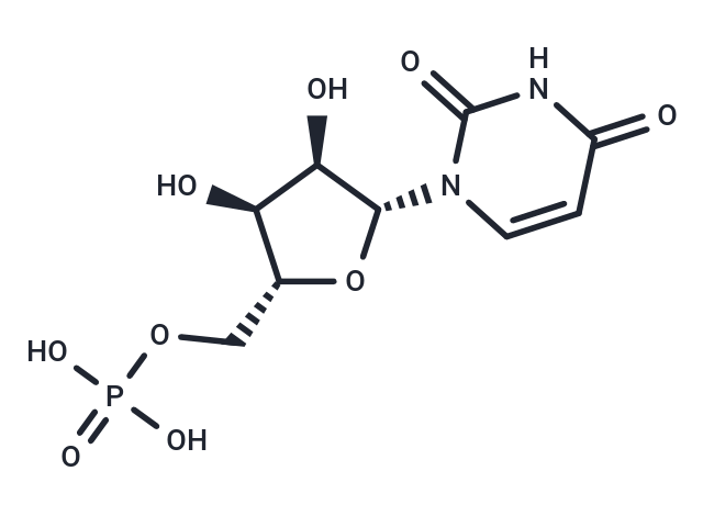 尿苷5-單磷酸,Uridine 5'-monophosphate