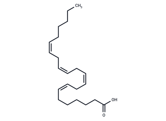 二十二碳四烯酸,Adrenic Acid