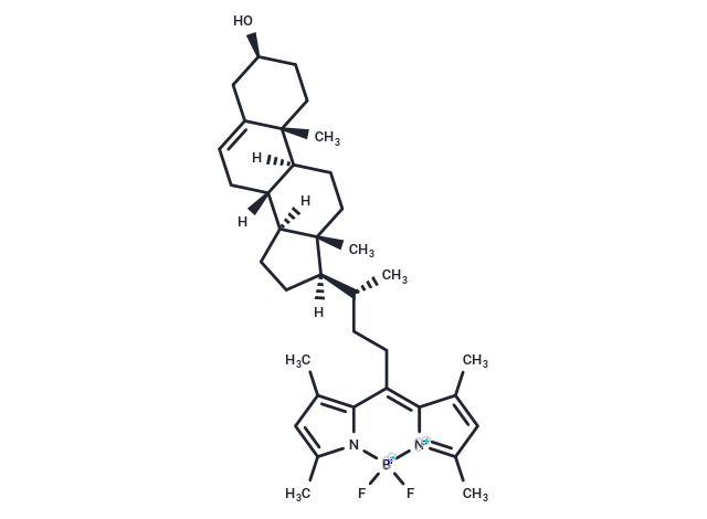 化合物BODIPY-Cholesterol,BODIPY-Cholesterol