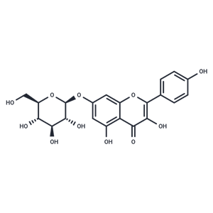 山奈酚-7-O-葡萄糖苷,Kaempferol-7-O-β-D-glucopyranoside