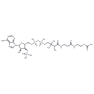 化合物 Acetyl coenzyme A|T73805|TargetMol