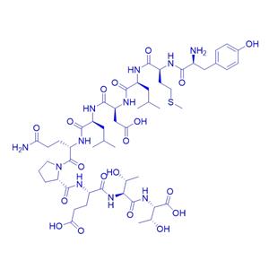 HPV16-E711-20 epitope