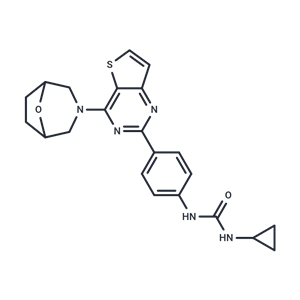 化合物 mTOR inhibitor 9e|T67704|TargetMol