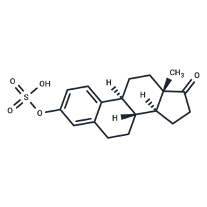 共軛雌激素|T36857L|TargetMol