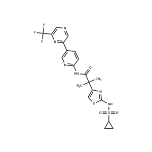 CTP Synthetase 抑制劑 1|T72505|TargetMol