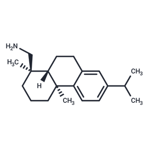 脫氫松香胺,Dehydroabiethylamine