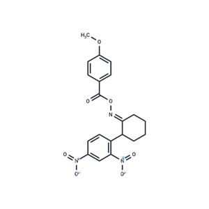 化合物 Compound 1T-0219 (SC)|T9545|TargetMol