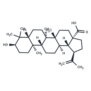 表白樺脂酸,Epibetulinic acid