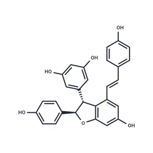 Epsilon-白藜蘆醇脫氫二聚體,ε-?Viniferin