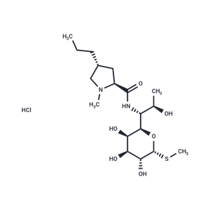 鹽酸林可霉素,Lincomycin hydrochloride