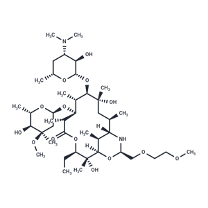 地紅霉素,Dirithromycin