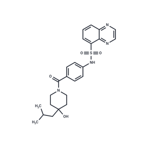 化合物 PKR-IN-2|T12499|TargetMol