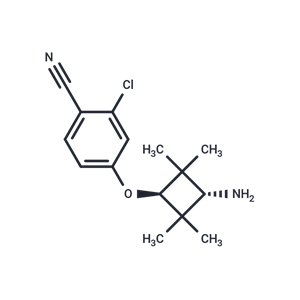 化合物AR antagonist 1|T10359|TargetMol