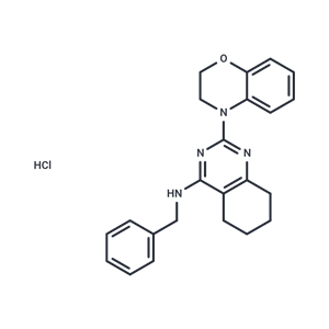 化合物 ML241 hydrochloride|T4684|TargetMol