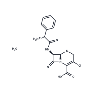 頭孢克洛一水合物,Cefaclor monohydrate