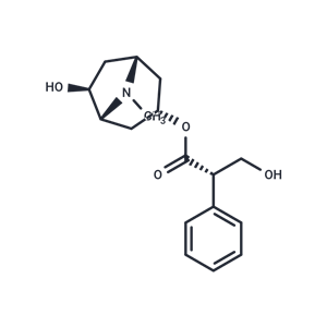山莨菪堿|T21532|TargetMol