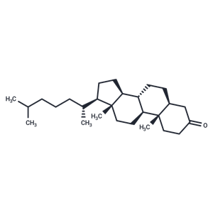 5-Α-膽甾烷-3-酮|T2905|TargetMol