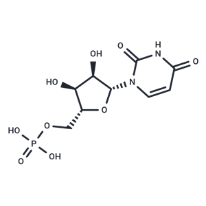 尿苷5-單磷酸,Uridine 5