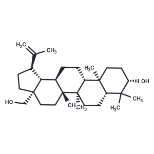 白樺脂醇|T3121