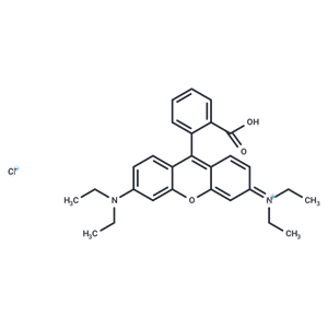 羅丹明B|T7975|TargetMol