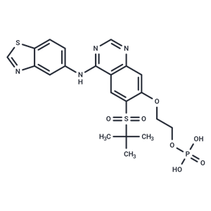 化合物 GSK2983559 free acid|T11492|TargetMol