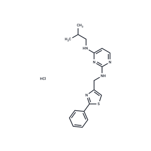 鹽酸KHS101|T5170|TargetMol