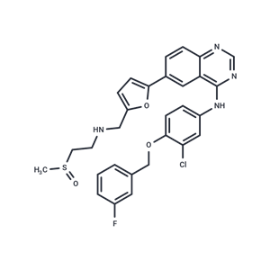 賽拉替尼,Selatinib