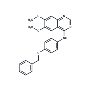 化合物 EGFR/ErbB2 Inhibitor|T21954|TargetMol