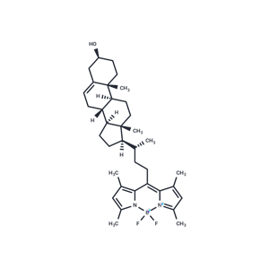 化合物BODIPY-Cholesterol,BODIPY-Cholesterol