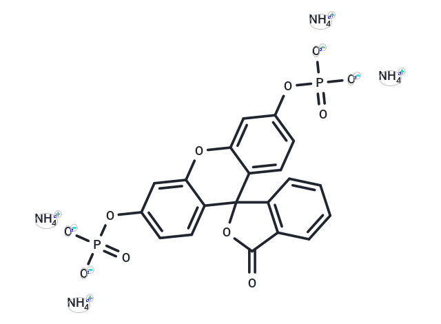 Fluorescein diphosphate 四銨鹽,Fluorescein diphosphate tetraammonium