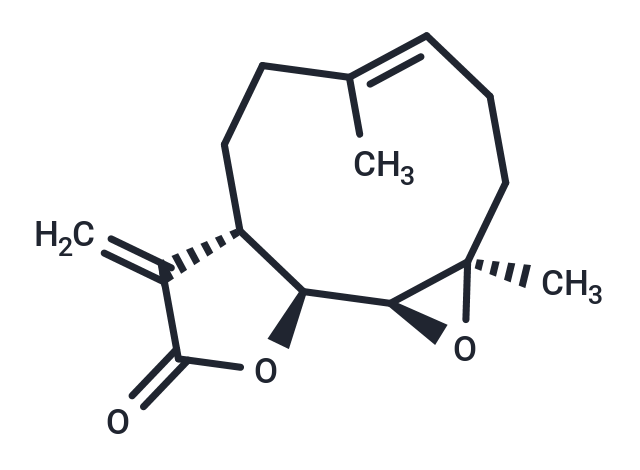 小白菊內(nèi)酯,Parthenolide