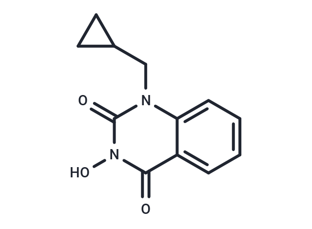 化合物 FEN1 Inhibitor C2,FEN1-IN-4