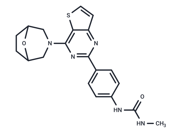 化合物 mTOR inhibitor 9a,mTOR inhibitor 9a