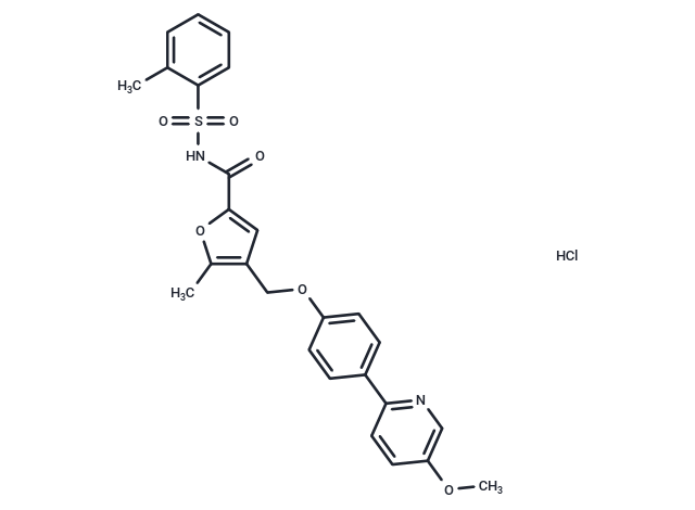 化合物 BGC-20-1531 hydrochloride,BGC-20-1531 hydrochloride(1186532-61-5 free base)