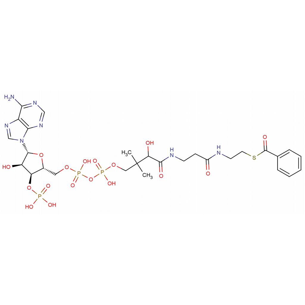 苯甲酰輔酶A鋰鹽,Benzoyl-Coenzyme A Li Salt