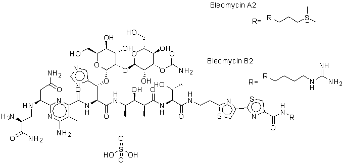 硫酸博來(lái)霉素,Bleomycin Sulfate