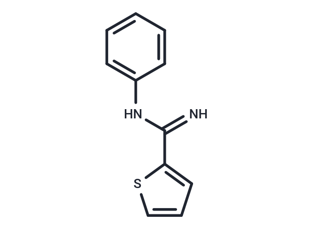 化合物 N-phenylthiophene-2-carboximidamide,N-phenylthiophene-2-carboximidamide