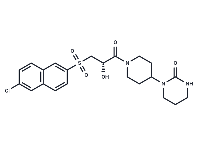 利他沙班,Letaxaban