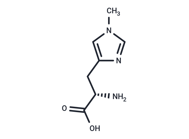 1-甲基-L-組氨酸,1-Methyl-L-histidine