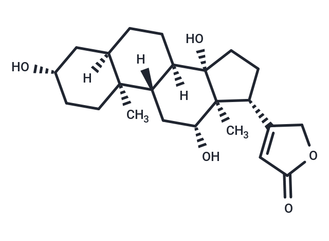 異羥基洋地黃毒苷元,Digoxigenin