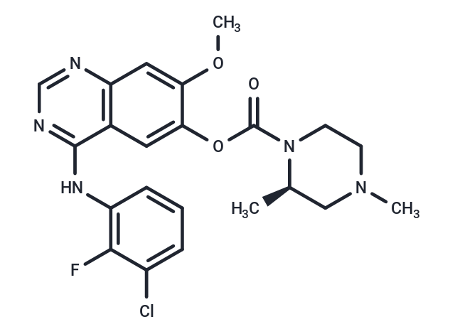 化合物 AZD3759,Zorifertinib