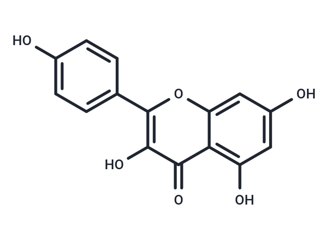 山奈酚,Kaempferol