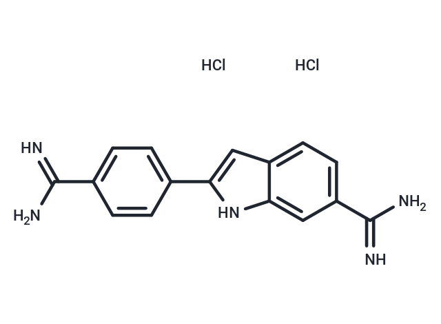 4',6-二脒基-2-苯基吲哚二鹽酸鹽,DAPI Dihydrochloride