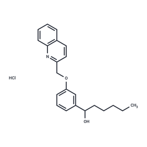 化合物 REV 5901A|T21821L|TargetMol