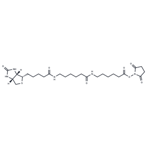 Biotin-LC-LC-NHS|T41026|TargetMol