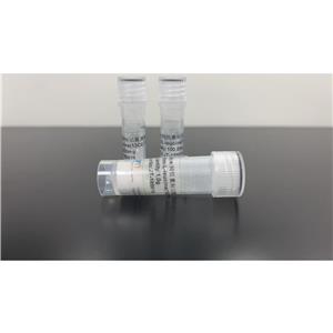 同位素標記氨基酸-Fmoc-L-leucine (13C6,  15N, 99%),L-LEUCINE-N-FMOC (U-13C6, 99%; 15N, 99%)