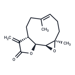 小白菊內(nèi)酯,Parthenolide