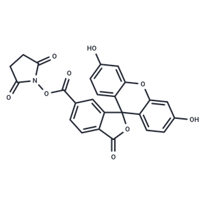6-羧基荧光素琥珀酰亚胺醚|T18901