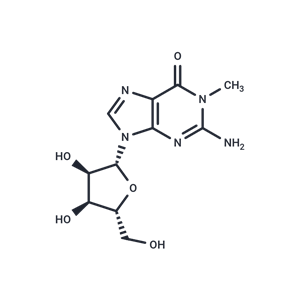 1-甲基鳥(niǎo)酐,1-Methylguanosine